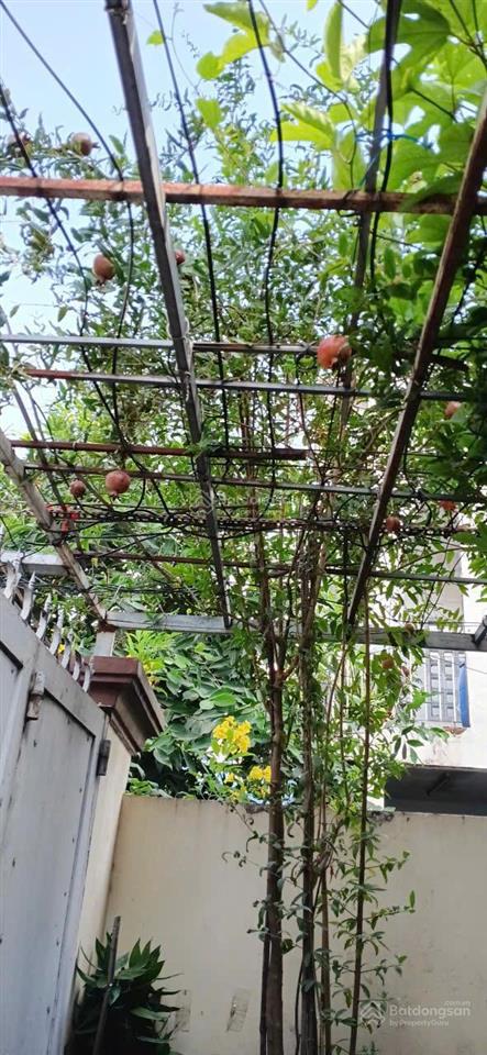 Cần tiền giảm nhanh 1 tỷ bán gấp mặt tiền trương đăng quế p3, dt 4x19 giá 8,4 tỷ tl