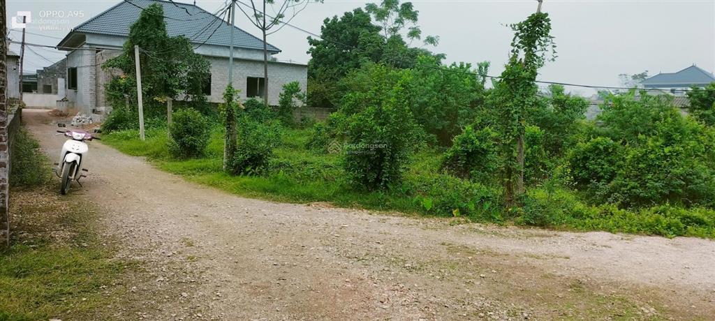 Bán đất tại xã nam phương tiến, huyện chương mỹ, hà nội, 5,2 tỷ, 1493 m2