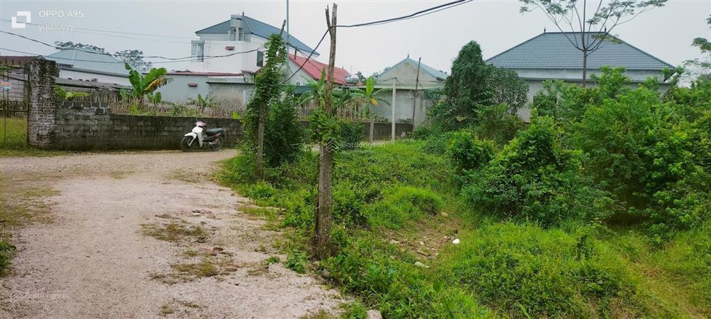 Bán đất tại xã nam phương tiến, huyện chương mỹ, hà nội, 5,2 tỷ, 1493 m2