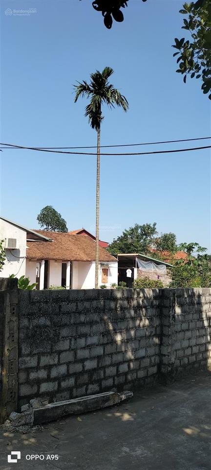 Bán đất tại xã hoàng văn thụ, huyện chương mỹ, hà nội, 7,4 tỷ, 704 m2