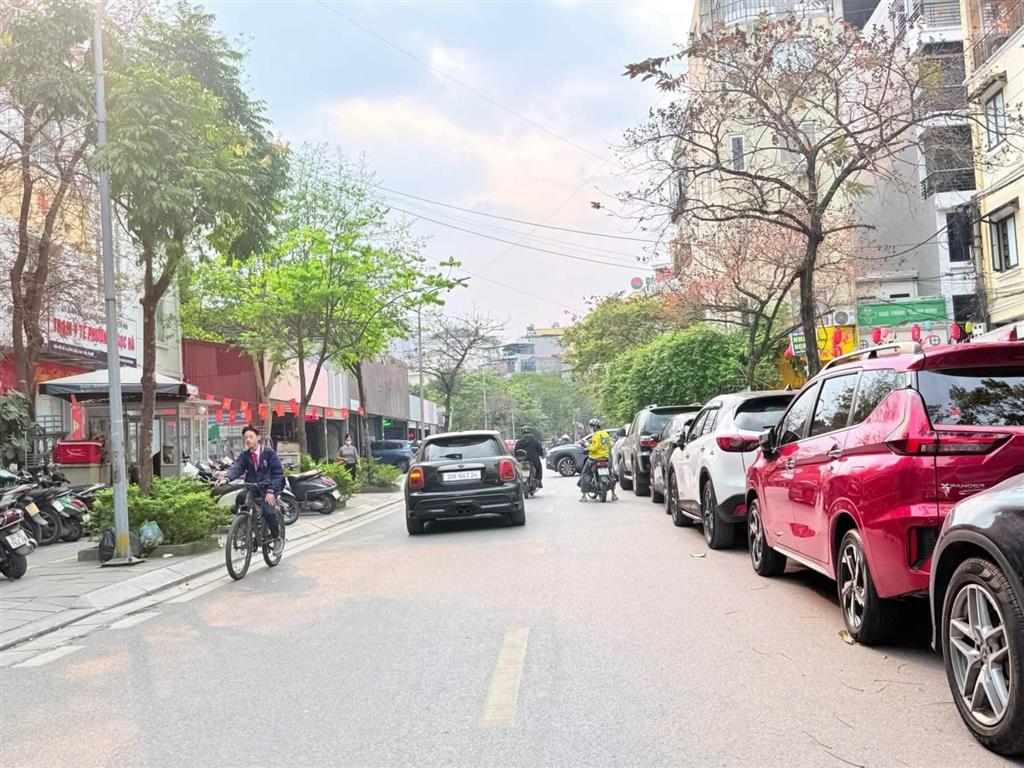 Biệt thự lõi ba đình 85m2  mt 5.6m  ô tô vào nhà  làm văn phòng hoặc định cư lâu dài