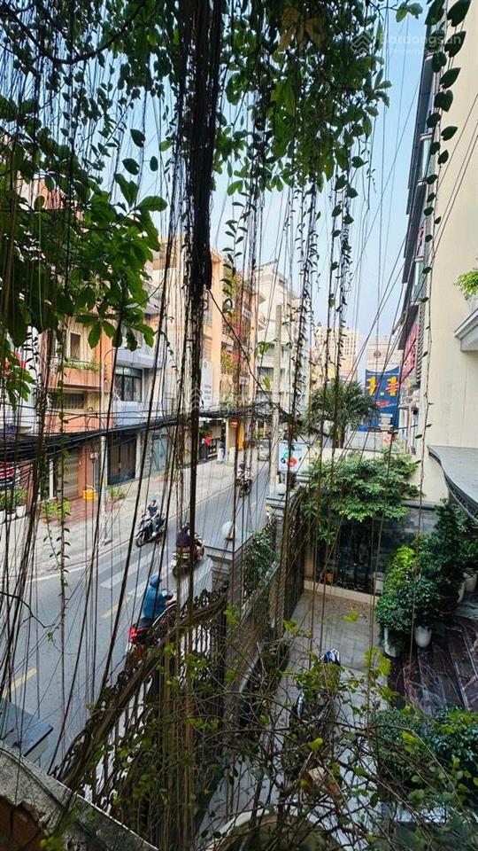 Siêu phẩm lô góc nguyễn trọng tuyển mặt tiền kinh doanh đỉnh trung tâm phú nhuận (918 ) 48 tỷ tl