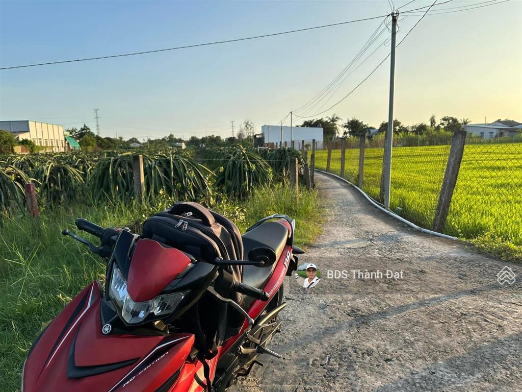 Đất vườn 546m2  bến lức, long an