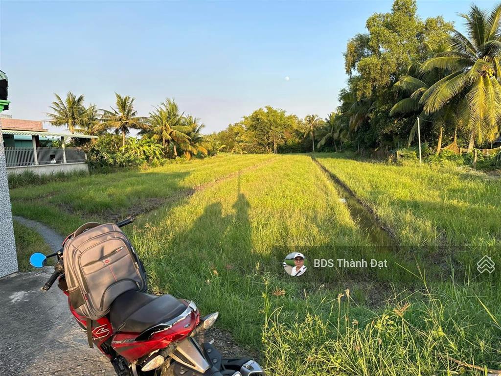 Đất vườn 546m2  bến lức, long an