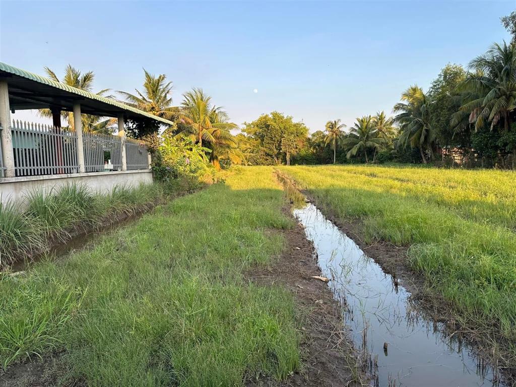 Đất vườn 546m2  bến lức, long an