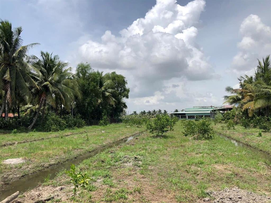 Đất vườn 546m2  bến lức, long an