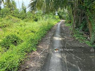 * 1490m vườn kênh công si  bến lức, long an(cũ). được lên thổ cư