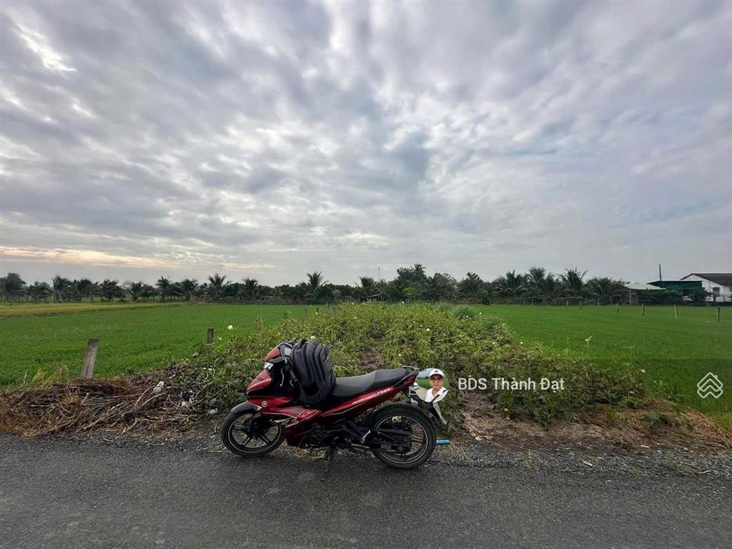 Nhựa đăng mỹ 5x44m thổ. nhựt chánh, bến lức