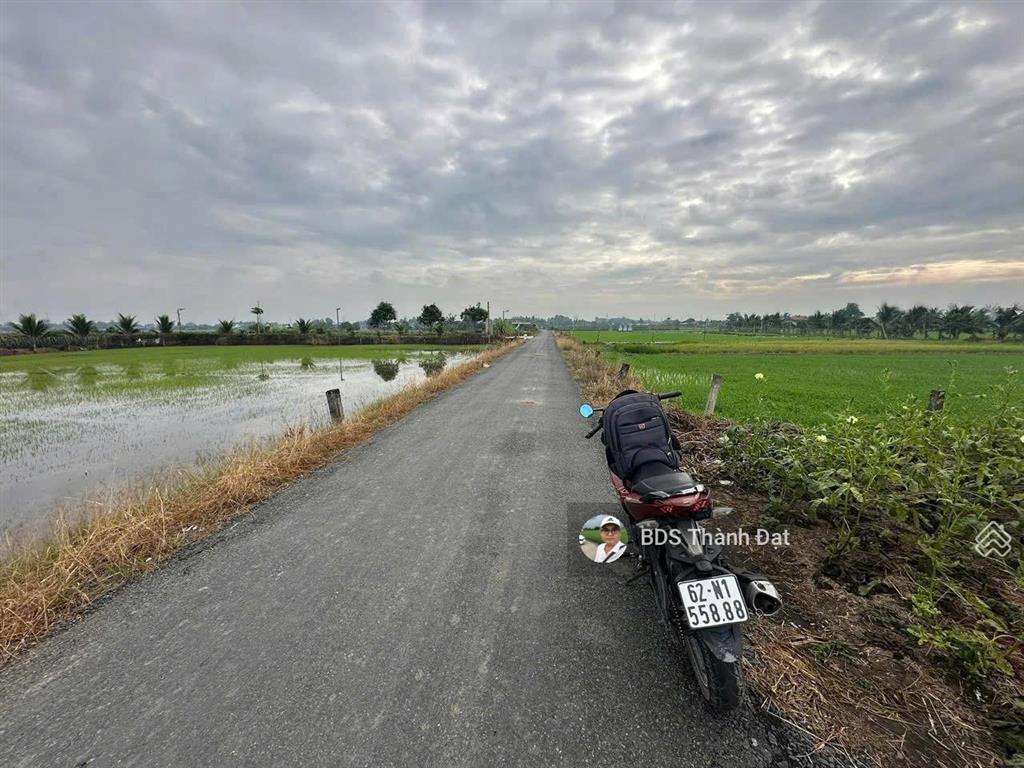 Nhựa đăng mỹ 5x44m thổ. nhựt chánh, bến lức