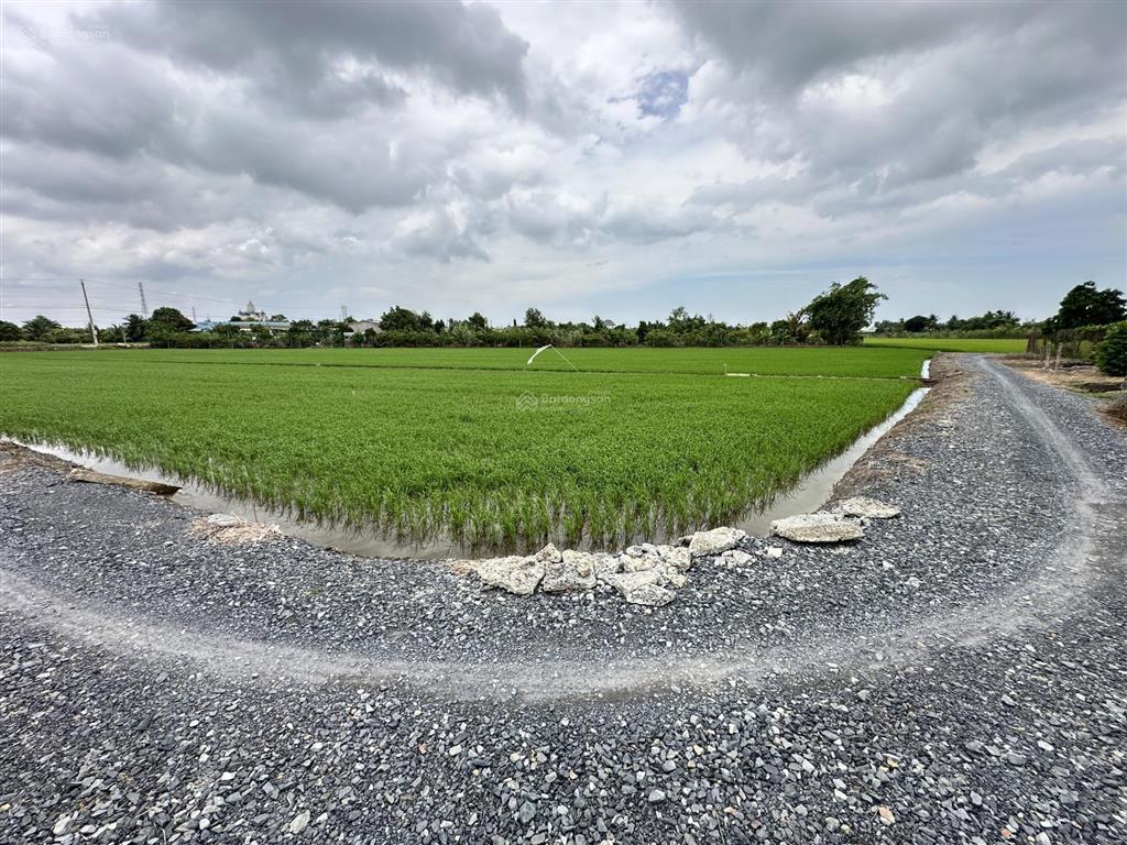 Đất thổ 155m đường cây điệp, nhựt chánh, bến lức