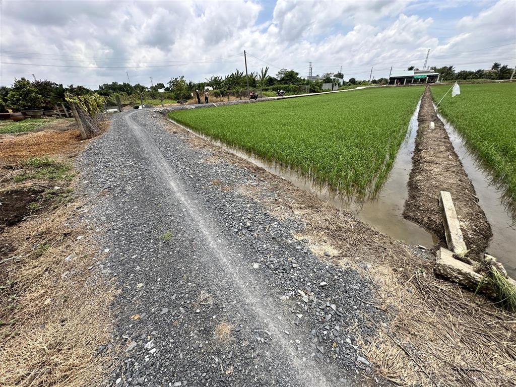 Đất thổ 155m đường cây điệp, nhựt chánh, bến lức