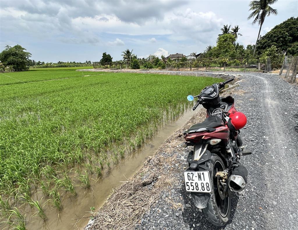 Đất thổ 155m đường cây điệp, nhựt chánh, bến lức