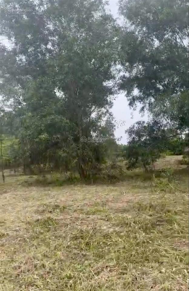 Cc bán 11.000m² đất vườn an phú tây, bình chánhquỹ đất lớn, phù hợp kho xưởng, đầu tư  chỉ 75tỷ