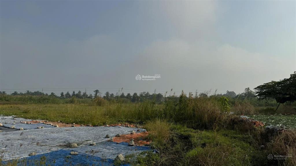 Cần bán 2,14 ha đất tại cụm công nghiệp mỹ hiệp, đồng tháp (cao lãnh  đồng tháp cũ)