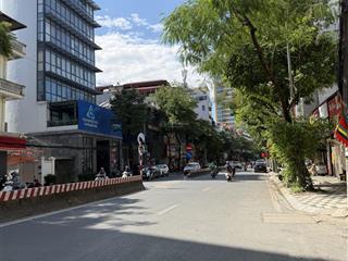 Nhà đẹp cầu giấy, ga ra ô tô, thang máy, kinh doanh đỉnh, 120m, giá 270tr/m, cực hiếm