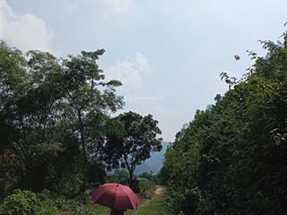 Chuyển nhượng đất thổ cư liền thửa rsx phù hợp nghỉ dưỡng, làm farm có ao, có khe suối