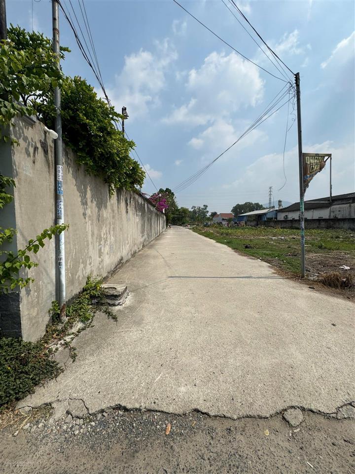 Hàng hot mỹ xuân 102,5m2 đất ở đô thị full hồng chỉ 2,5 tỷ! giá tốt đầu tư. tờ 30  thửa 1000