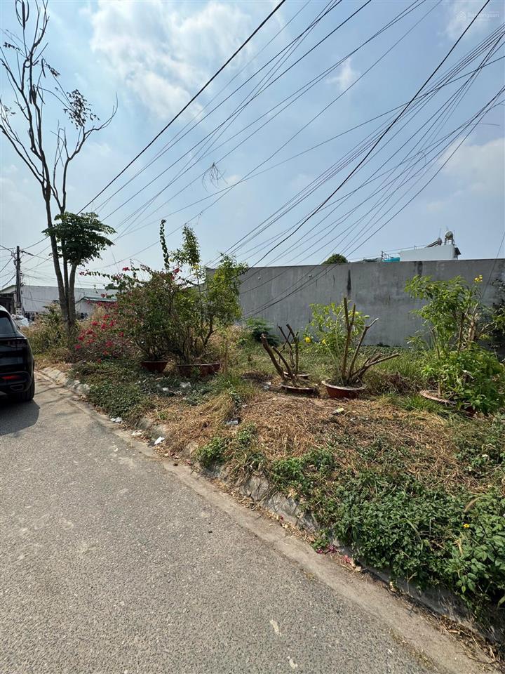 Hàng hot mỹ xuân 102,5m2 đất ở đô thị full hồng chỉ 2,5 tỷ! giá tốt đầu tư. tờ 30  thửa 1000