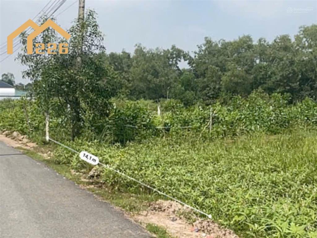 Cơ hội đầu tư đất tóc tiên giá tốt