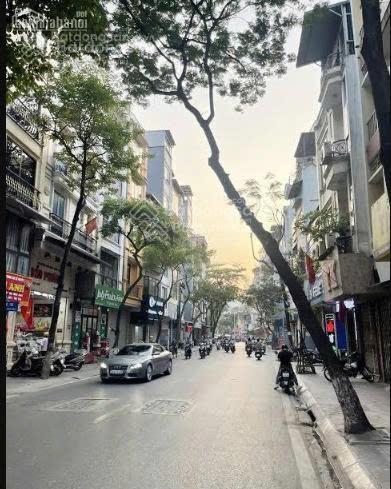Bán nhà mặt phố thụy khuê  đồng cổ 43m2 giá 17,x tỷ