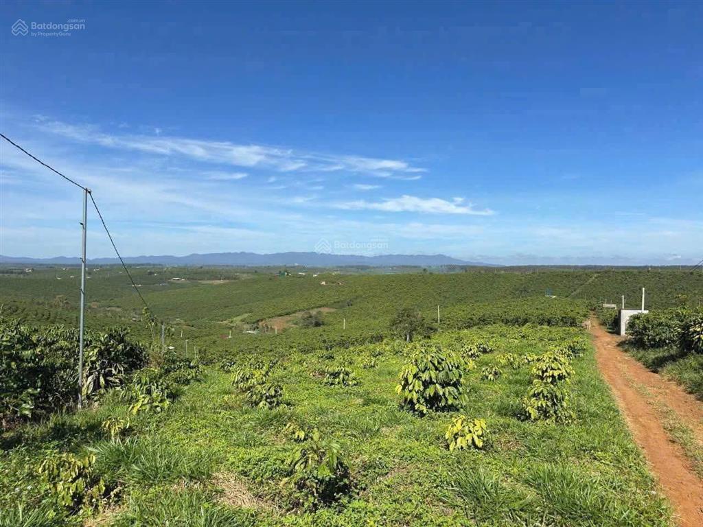 Chính chủ kẹt tiền cần bán miếng vườn 3500m2 giá 1.6 tỷ