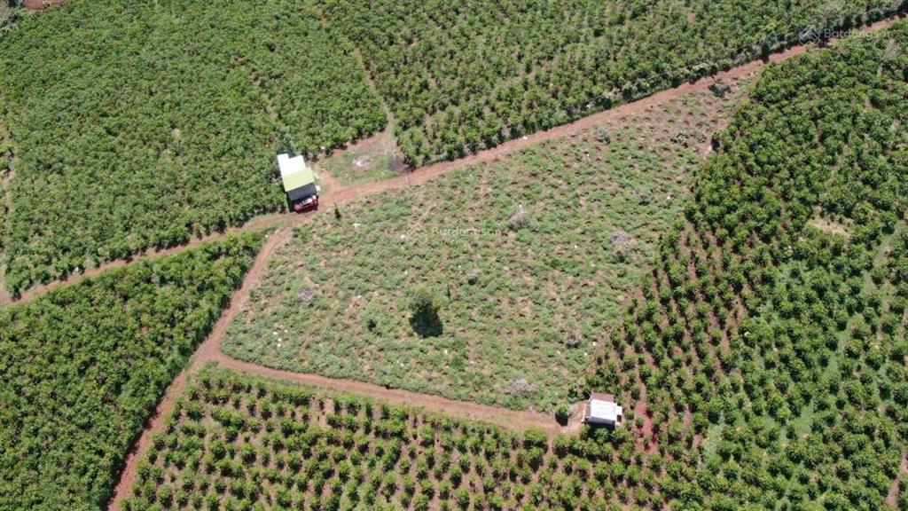 Chính chủ kẹt tiền cần bán miếng vườn 3500m2 giá 1.6 tỷ