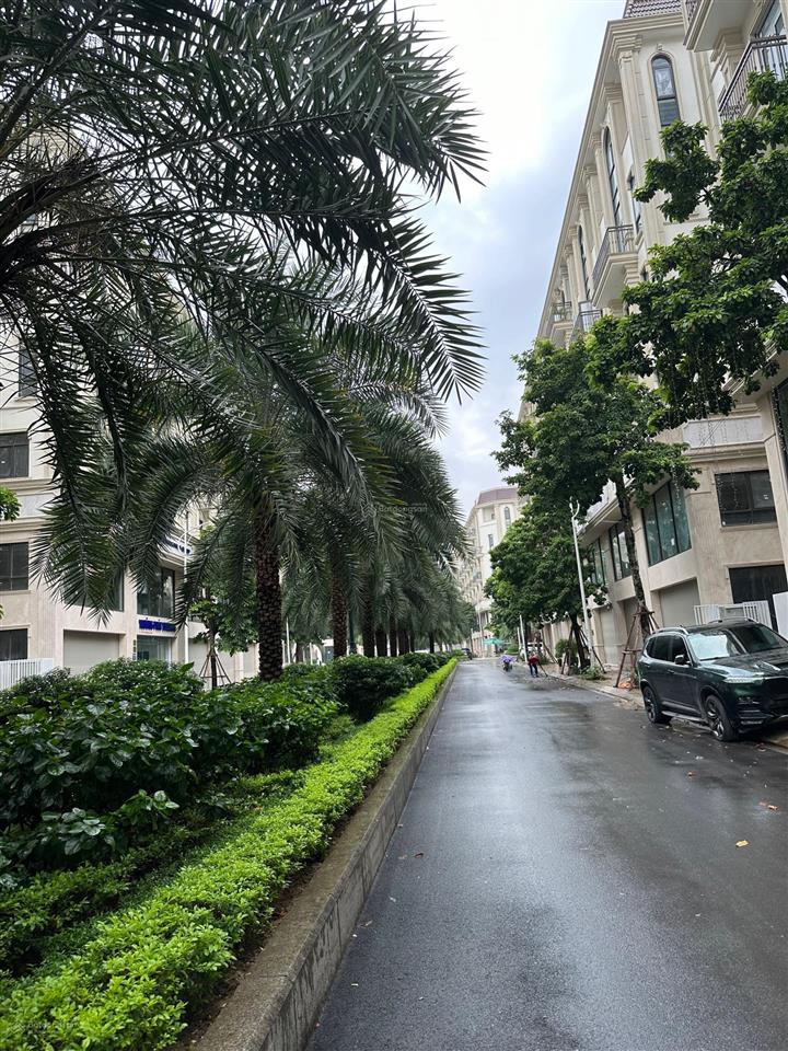 Bán căn thường, trục bồn cây him lam giá tốt nhất,  0979 008 ***