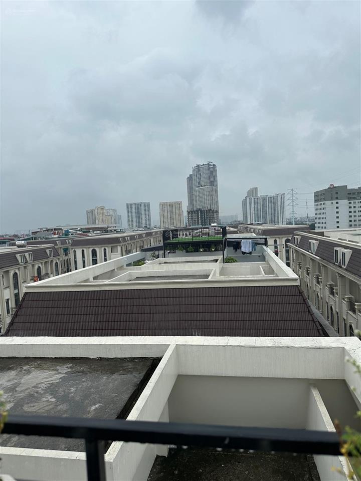 Bán căn thường, trục bồn cây him lam giá tốt nhất,  0979 008 ***