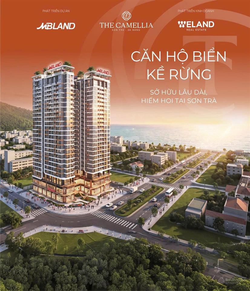 Nhận booking chỉ 50 triệu sở hữu căn hộ ven biển the camellia sơn trà