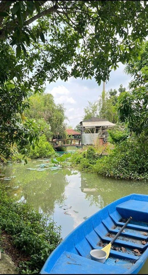  giảm cực sâu từ 75 tỷ còn 25 tỷ cho siêu phẩm 10.000m2 an nhơn tây củ chi