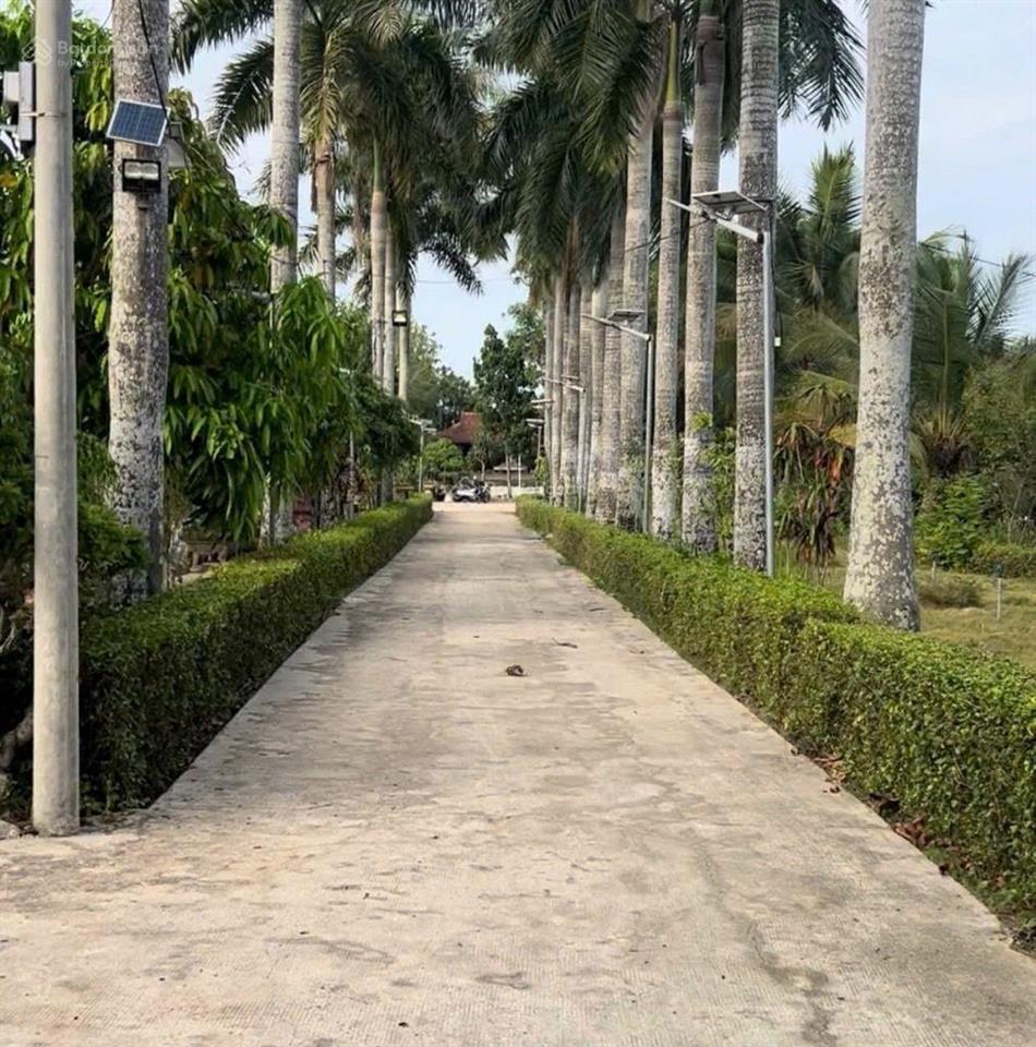  giảm cực sâu từ 75 tỷ còn 25 tỷ cho siêu phẩm 10.000m2 an nhơn tây củ chi