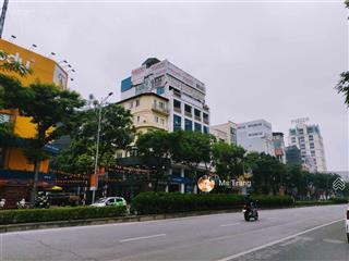 Kinh doanh vip! bán nhà mặt phố yên lãng, 302m2x3 tầng, mặt tiền 12m, dòng tiền 2.8 tỷ/năm, 175 tỷ