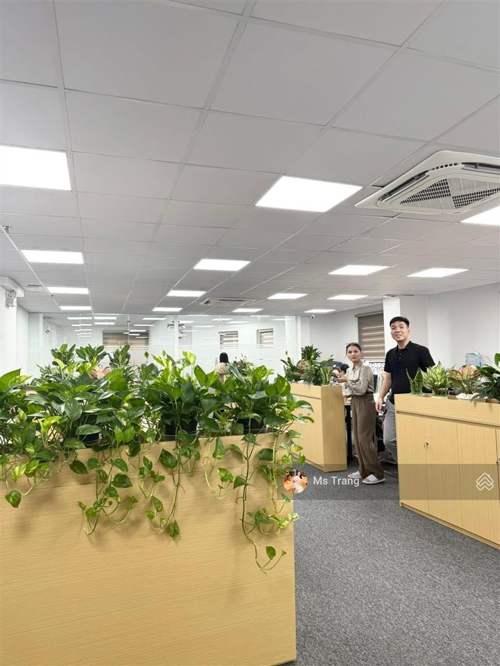 Toà văn phòng dương khuê,lô góc 189m, mt 25m, 9 tầng thang máy,dòng tiền 300tr/tháng, vip cầu giấy