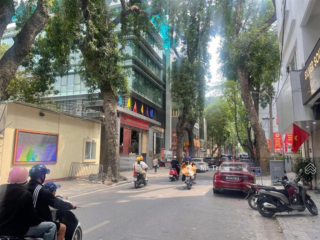 Mặt phố lý nam đế  building 10 tầng  mt 7.5m  vỉa hè rộng  pháp lý chuẩn