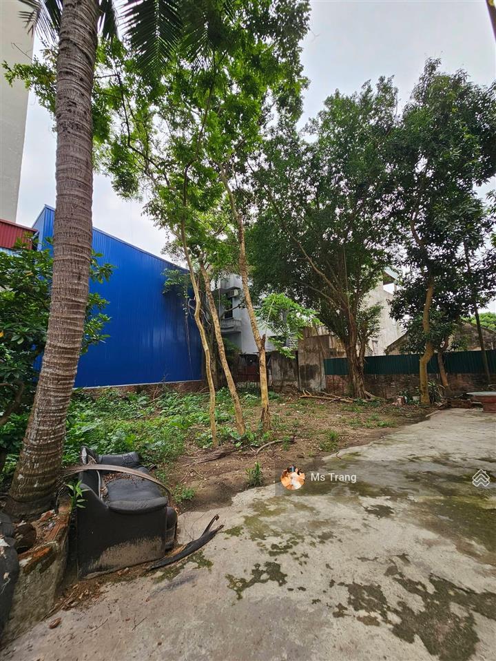 Siêu phẩm đại linh 888m, mt 12.9m, full thổ cư, sát kđt vinaconex, chỉ 215 tỷ