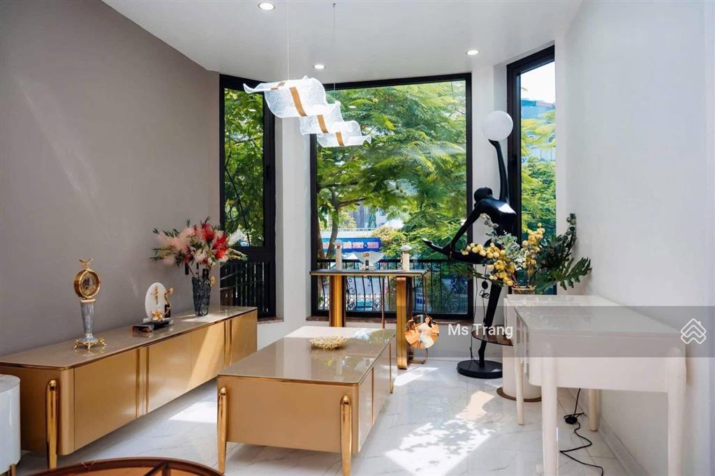 Biệt thự vip kđt phùng khoang 165m², mặt tiền 10m, thang máy, nam từ liêm