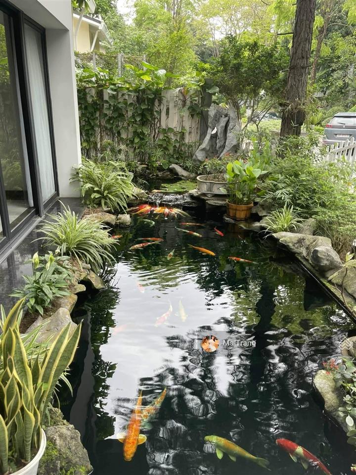 Biệt thự đơn lập vườn mai ecopark 399m2, mt 22m, full nội thất 10 tỷ, chỉ 63 tỷ