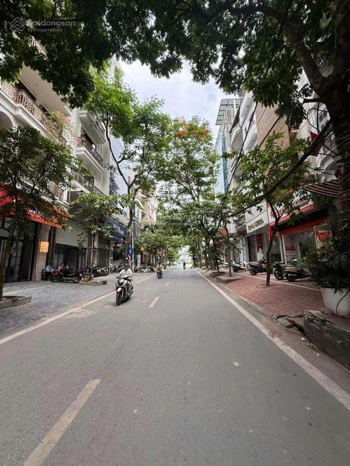 Mặt phố võ văn dũng 59m², 9tầng thang máy, mt 6m, vỉa hè kd, gần hồ hoàng cầu, chỉ 36tỷ, đống đa
