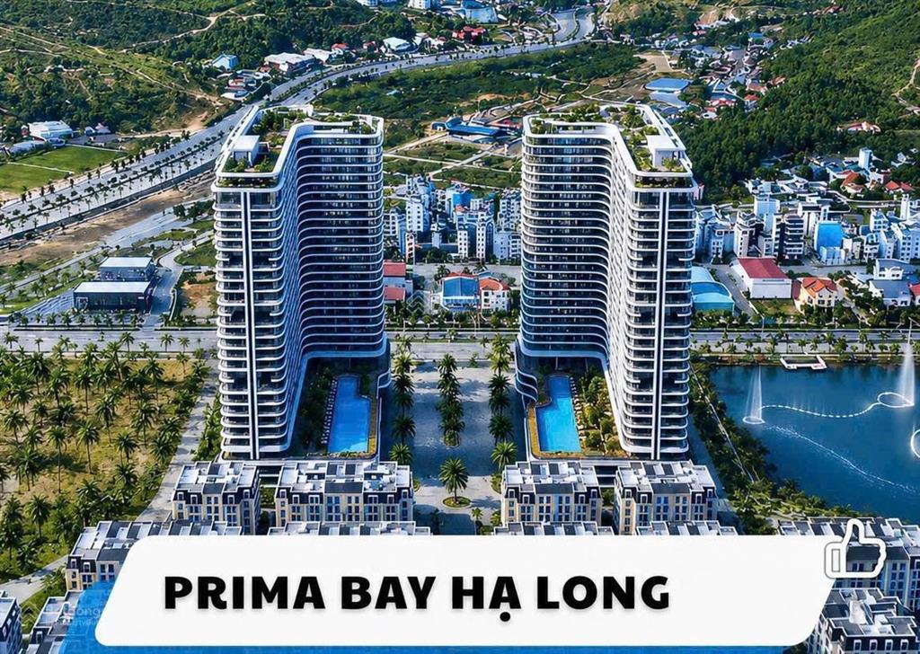 Căn ngoại giao từ cđt prima bay view toàn cảnh vịnh hạ long chỉ 480tr  ck 18%