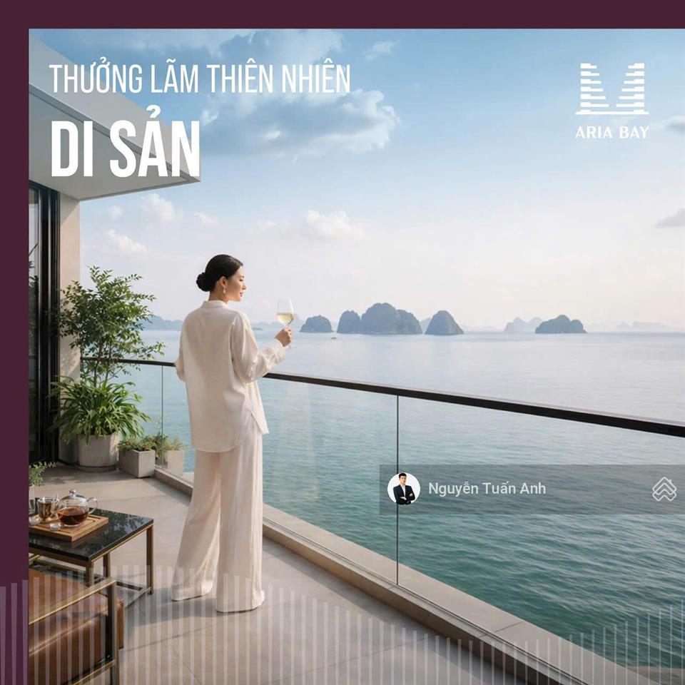 Aria bay hạ long giá 2,1 tỷ view biển hướng đông nam, chiết khấu 20%, sổ lâu dài, dòng tiền 810%