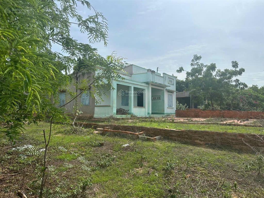 Chính chủ cần bán gấp mảnh đất mặt tiền đường nhựa đt716  hòa thắng, bắc bình, bình thuận