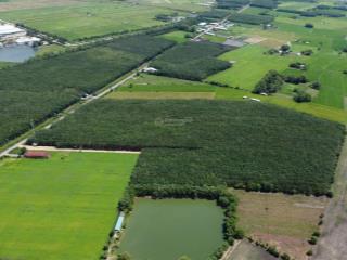 Chính chủ cần bán lô đất mặt tiền đầu tư đón đầu cao tốc mộc bài 500 nghìn/m2