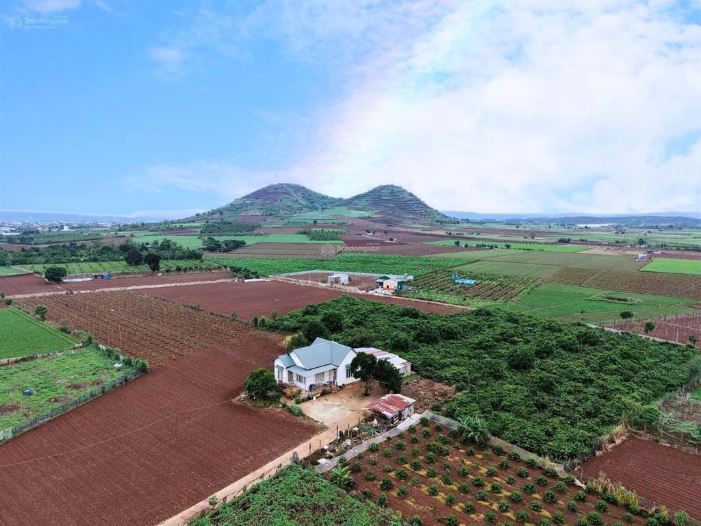 67 hecta đất núi r'chai, tân hội, đức trọng, lâm đồng