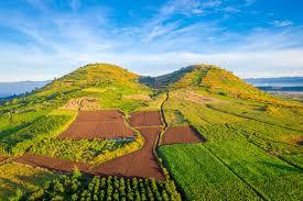 67 hecta đất núi r'chai, tân hội, đức trọng, lâm đồng