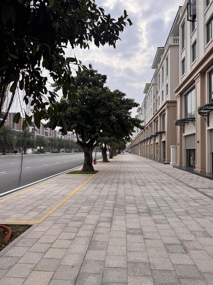 Cắt lỗ shophouse đlbm trục 51m đường chính ocp3 , 2 mặt tiền , mặt sau chung cư , chỉ 179tr/m2