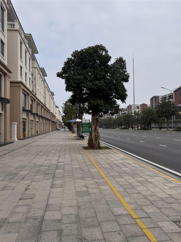 Cắt lỗ shophouse đlbm trục 51m đường chính ocp3 , 2 mặt tiền , mặt sau chung cư , chỉ 179tr/m2