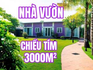 NHÀ VƯỜN MÀU TÍM – BÌNH MỸ, CỦ CHI – KHÔNG GIAN SỐNG LÝ TƯỞNG