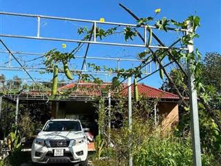 BÁN GẤP VƯỜN TRÁI CÂY VEN KÊNH – 1.100M² – CHỈ 4,8TR/M² – GIÁ MỀM HIẾM CÓ