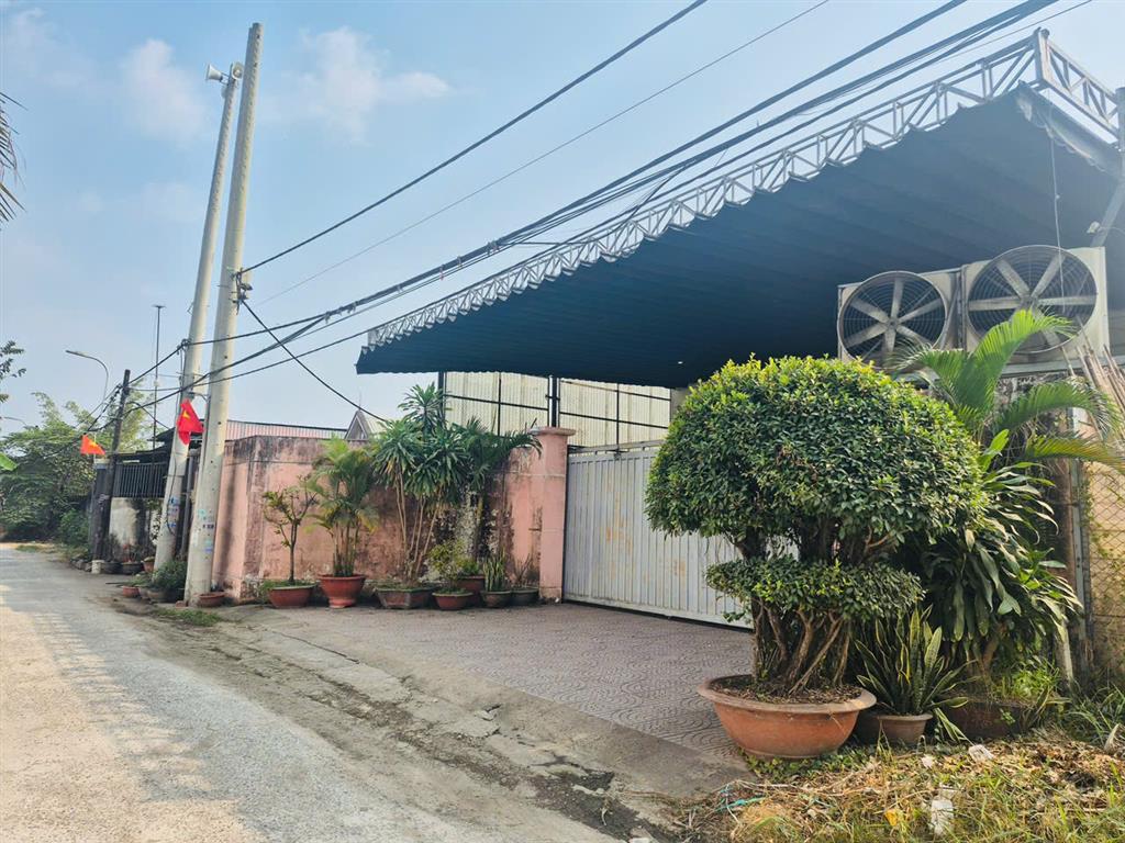 ĐẤT MẶT TIỀN ĐƯỜNG 164 BÌNH MỸ – NỞ HẬU 20M – FULL THỔ CƯ