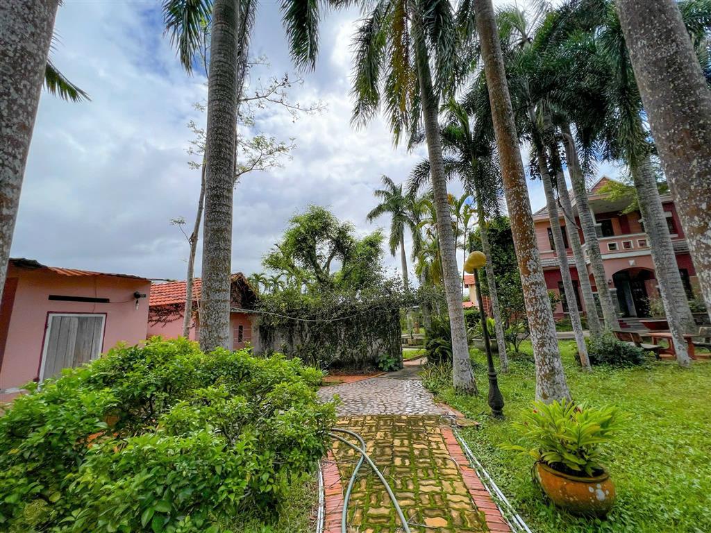 GIẢM SỐC 7,5 TỶ – BIỆT THỰ SÂN VƯỜN 4.000m² ĐẲNG CẤP TẠI CỦ CHI